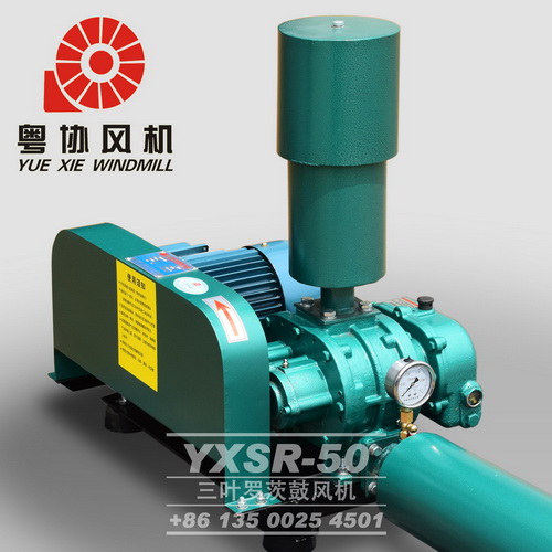 惠州羅茨風(fēng)機(jī)
