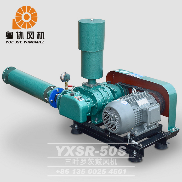 羅茨風(fēng)機