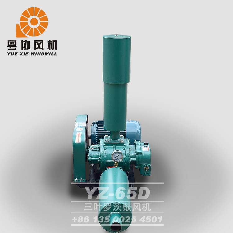養(yǎng)殖羅茨風(fēng)機價格